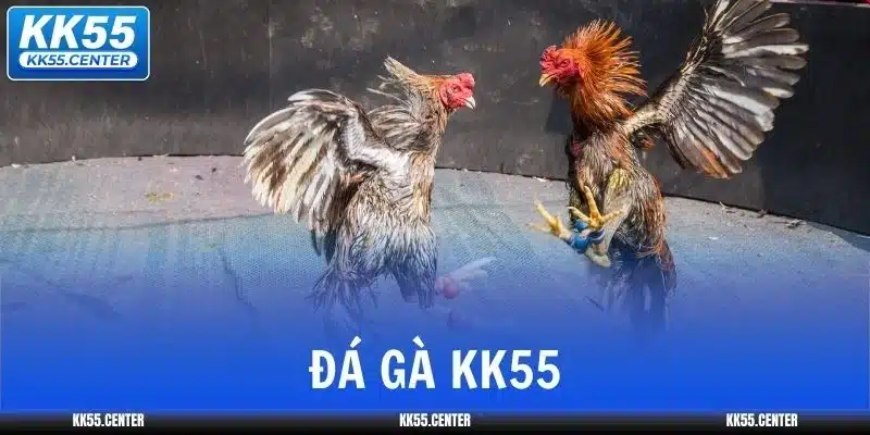 Đá Gà KK55 | Cao Thủ Chọi Gà Kiếm Tiền Tỷ 1 da-ga-kk55